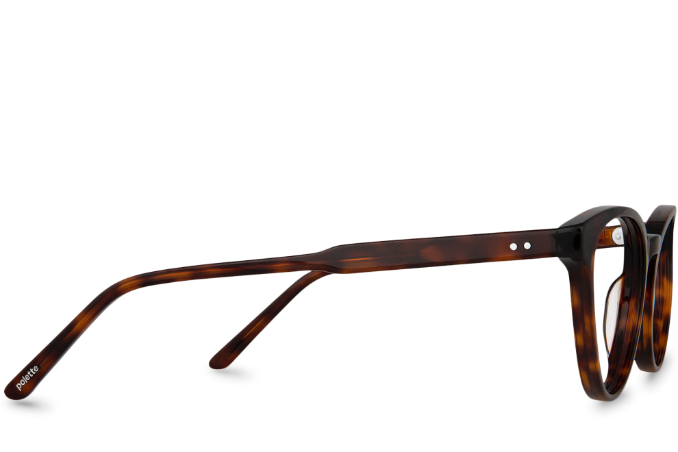 nº006