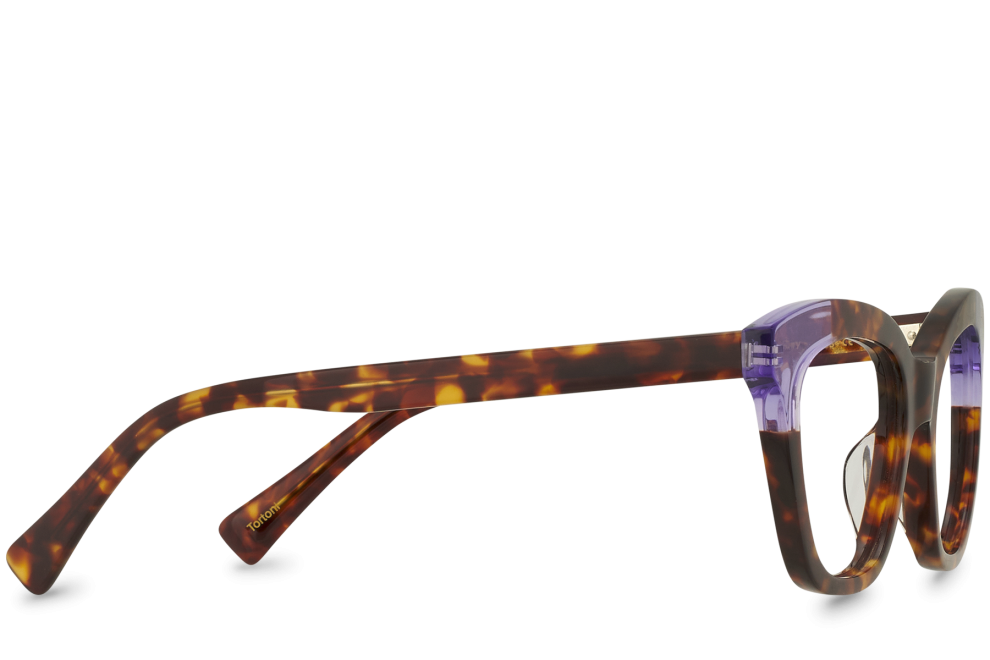 Tortoni Bi
