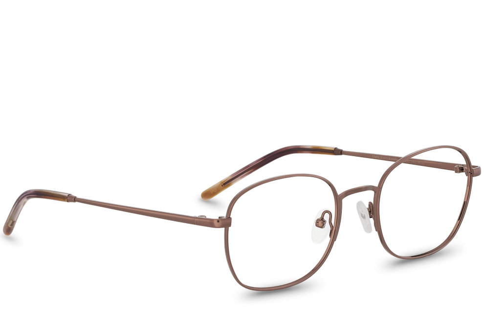 Pongo Bronze