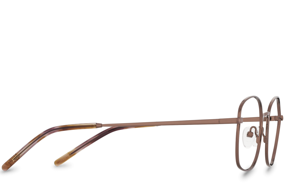 Pongo Bronze
