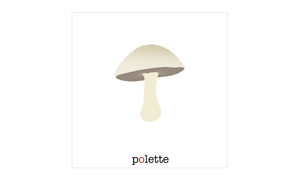 Potager Champignon