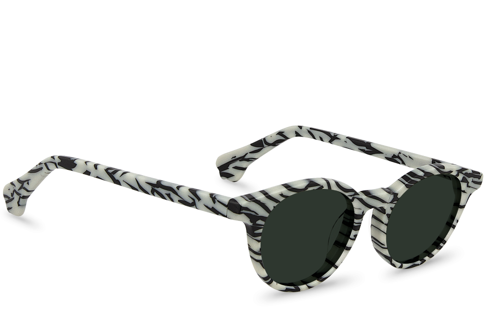 Rafiki Zebra