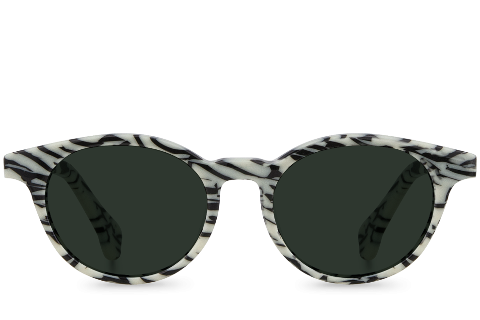 Rafiki Zebra