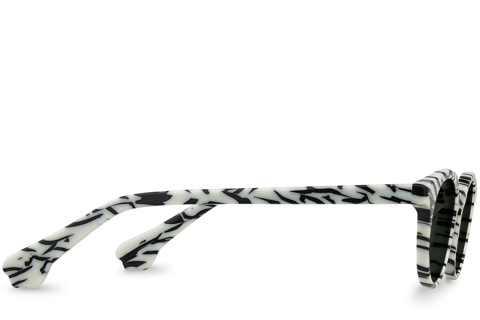 Rafiki Zebra