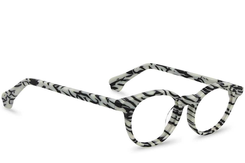 Rafiki View Zebra