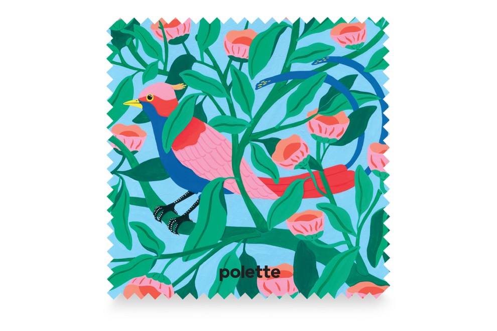Rainforest Bird