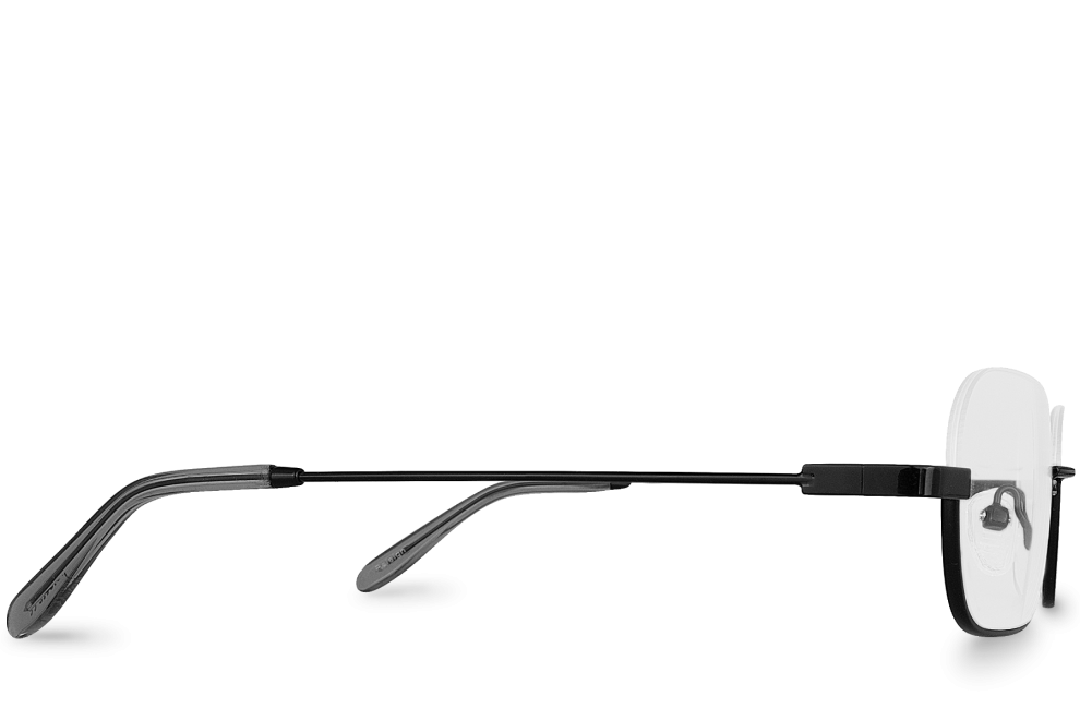 Raleigh Black