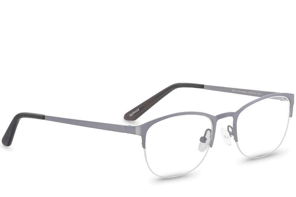 Spinoza Grey