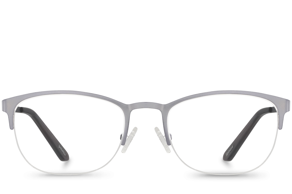 Spinoza Grey