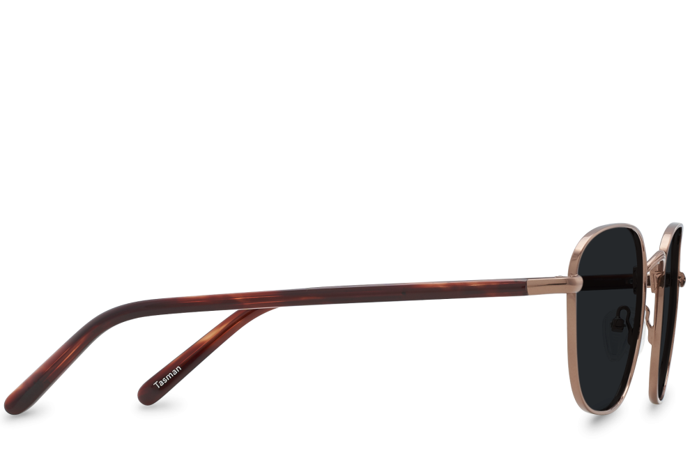 Tasman Bronze