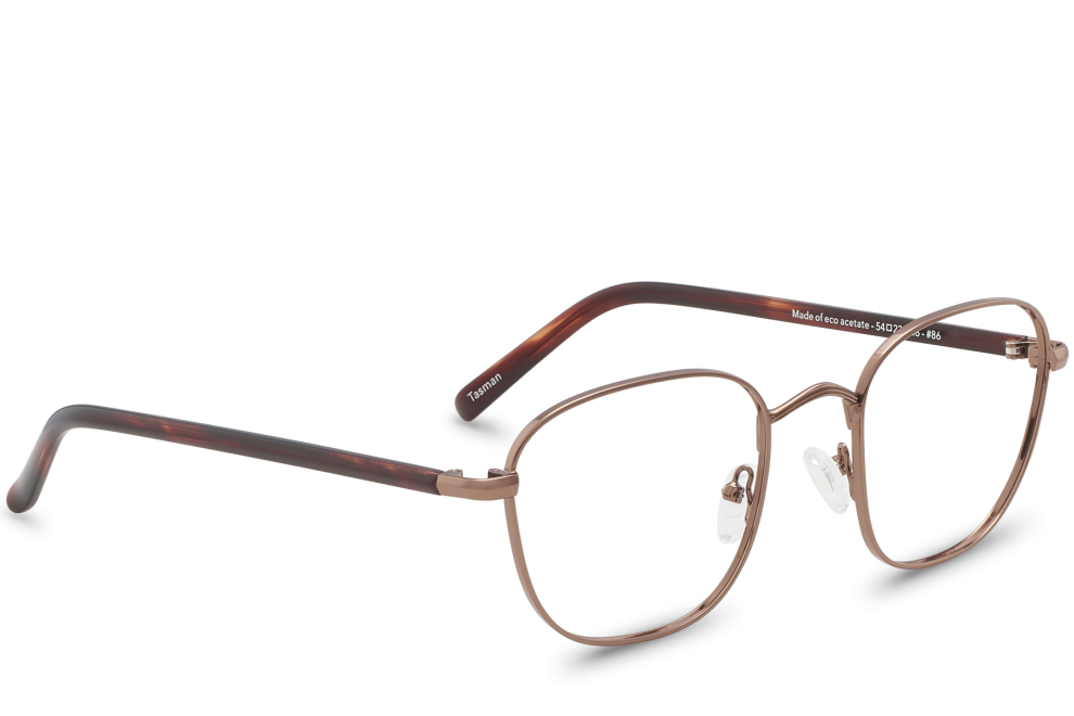 Tasman View Bronze