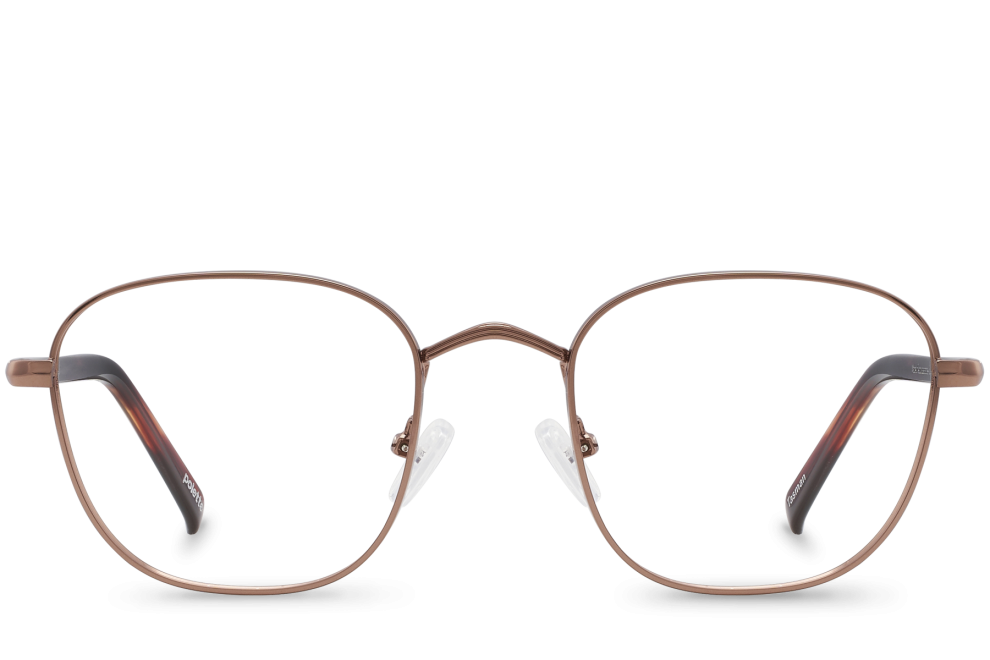 Tasman View Bronze