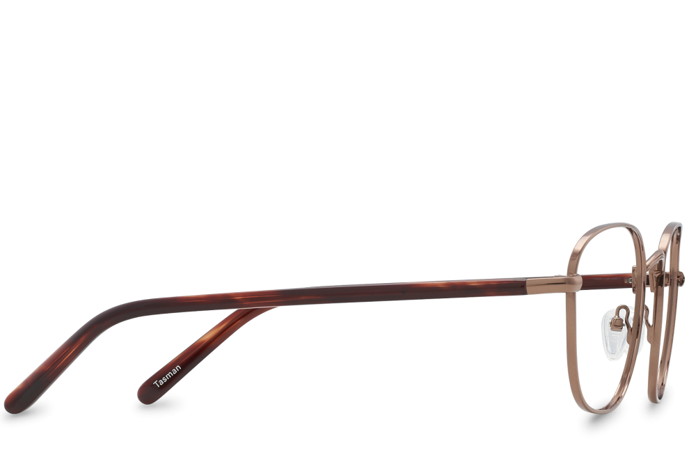 Tasman View Bronze