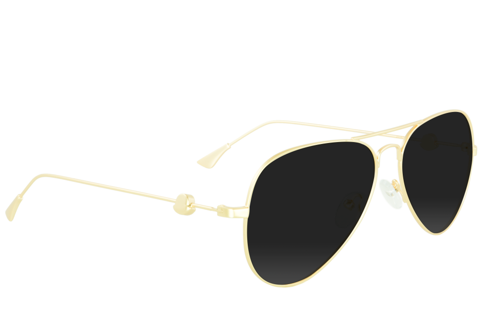 Traveler Black