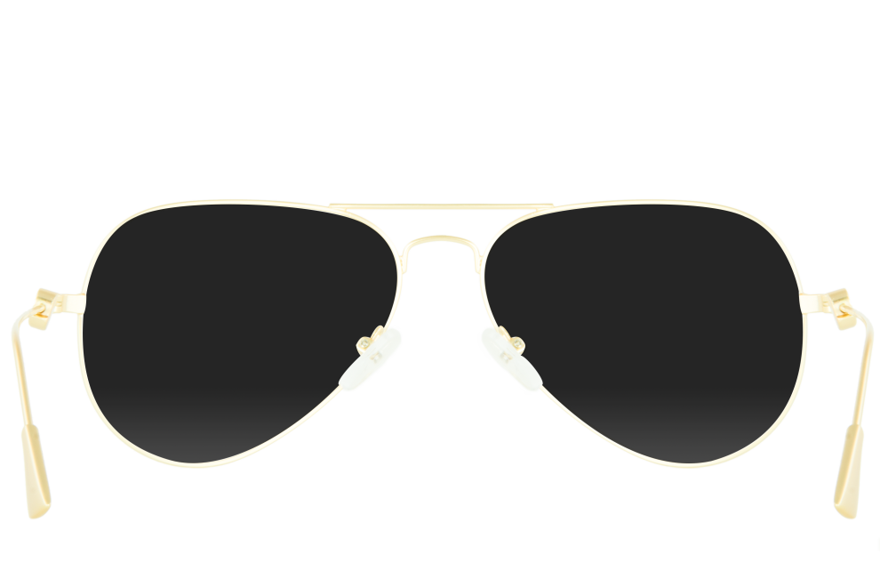 Traveler Black