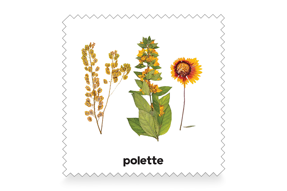 Botanic