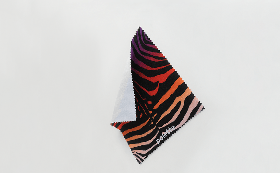 Savanna Zebra