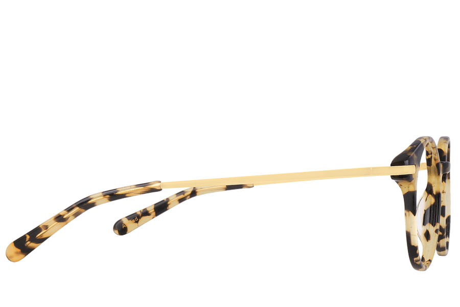 Abroad Écaille