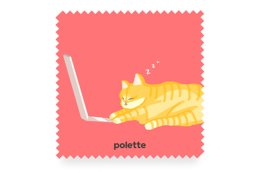 Sleeping Cat