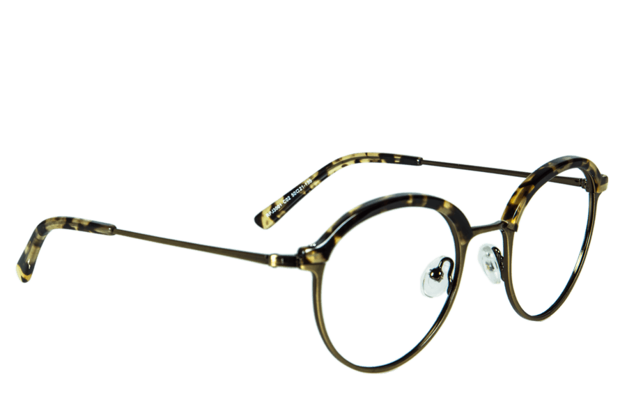 Échide