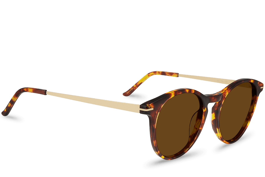 Montaigu Brown