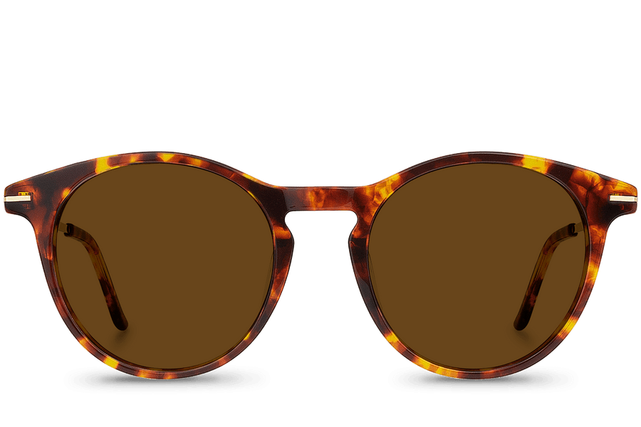 Montaigu Brown