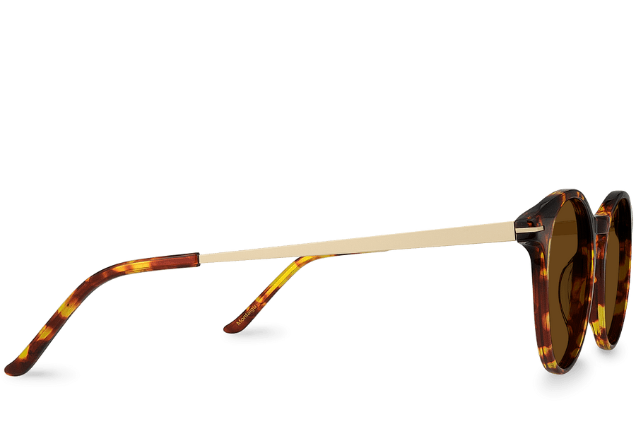 Montaigu Brown