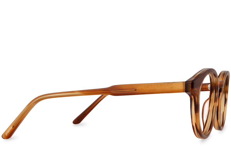 nº005