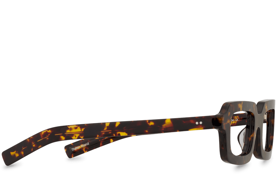 Staten Island View Brown