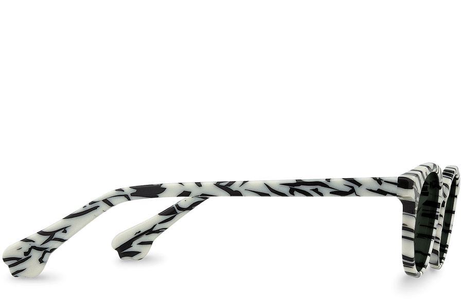 Rafiki Zebra