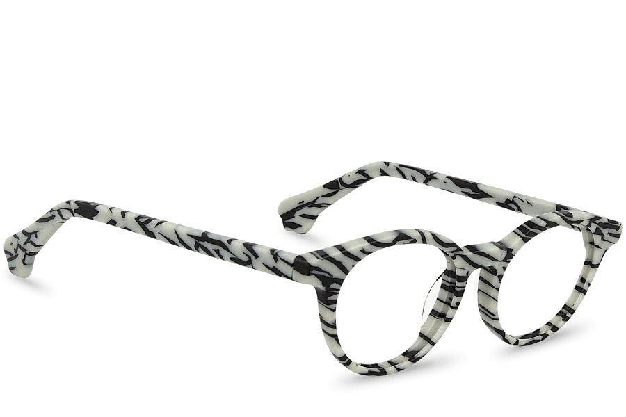 Rafiki View Zebra