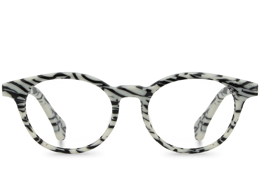 Rafiki View Zebra