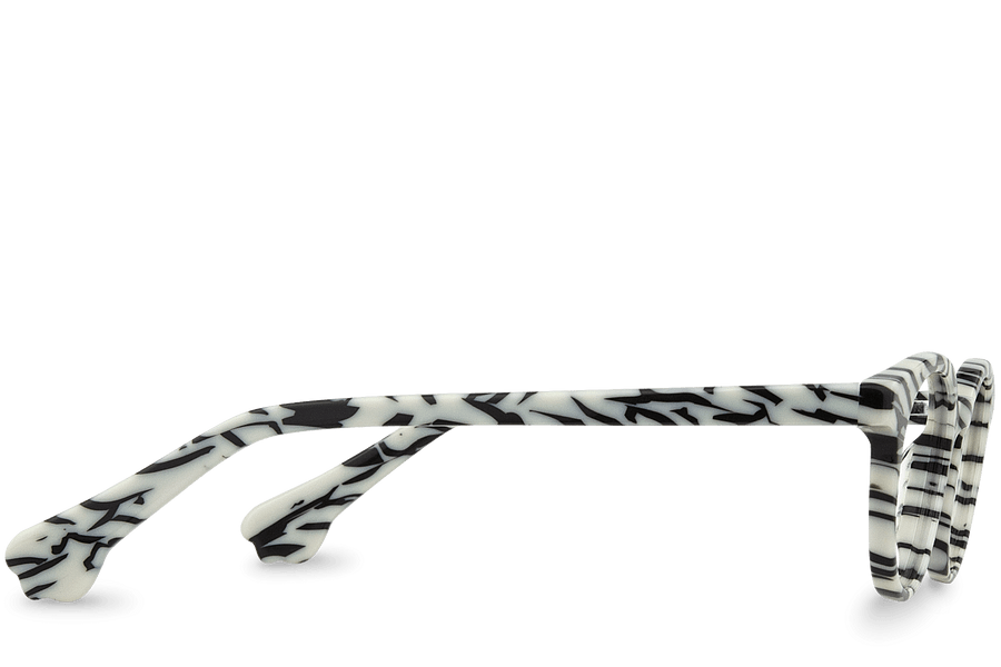 Rafiki View Zebra