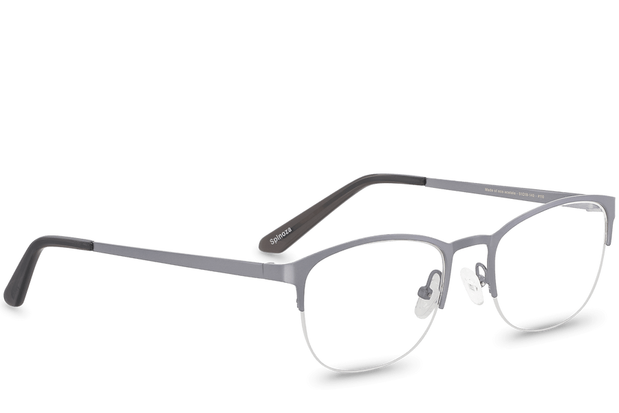 Spinoza Grey