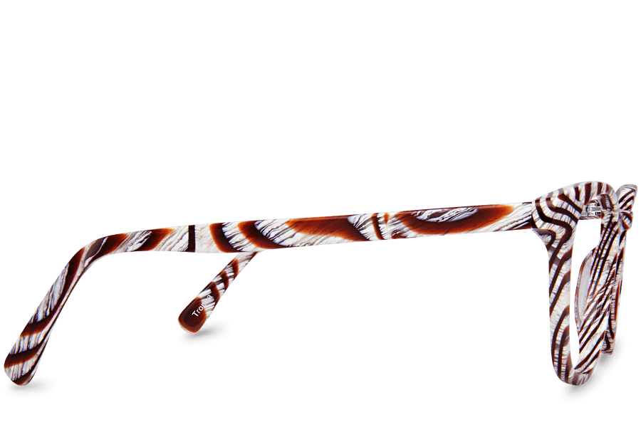 Tropea Animal