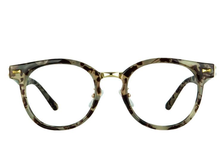 Bubalus Brown