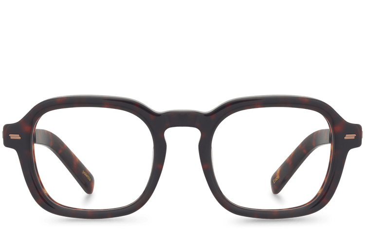 Enzo View Brown