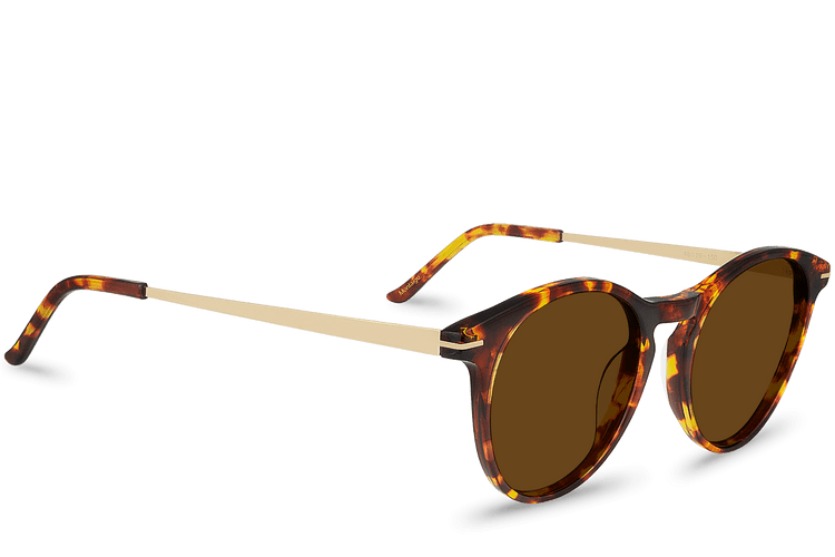 Montaigu Brown