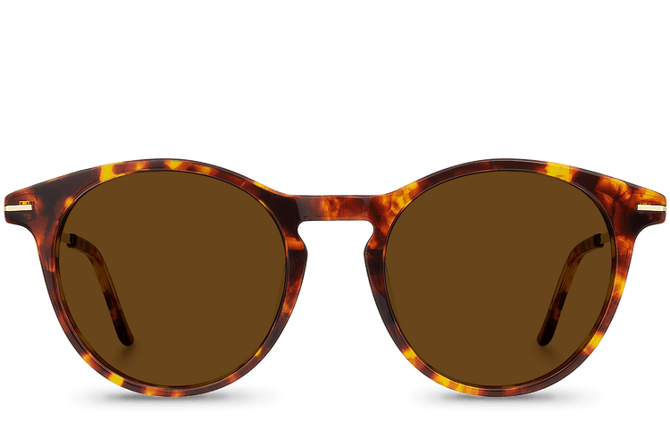 Montaigu Brown
