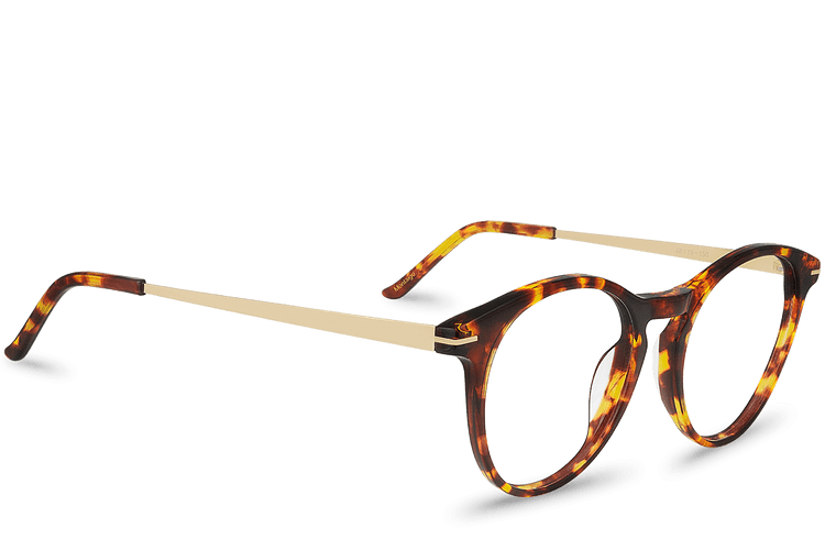 Montaigu View Brown