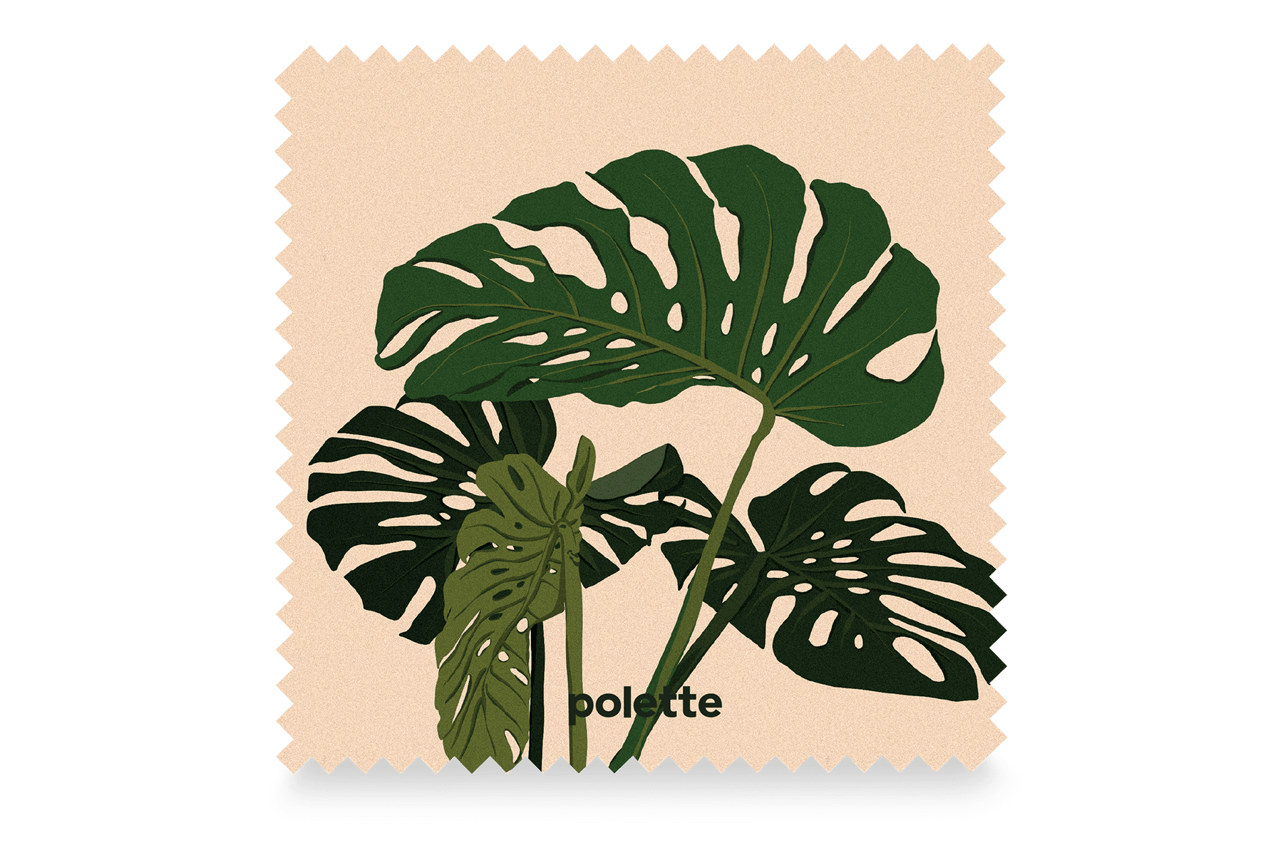 Natural Monstera