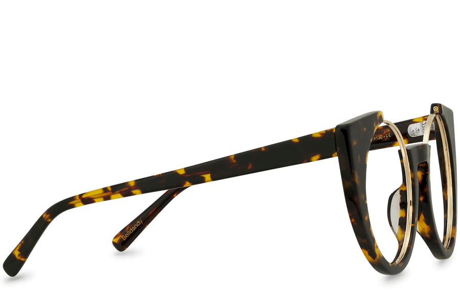 Belldandy View Brown