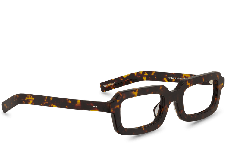 Staten Island View Brown