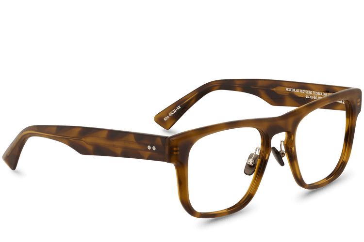 R2A-S149A-RX View Brown