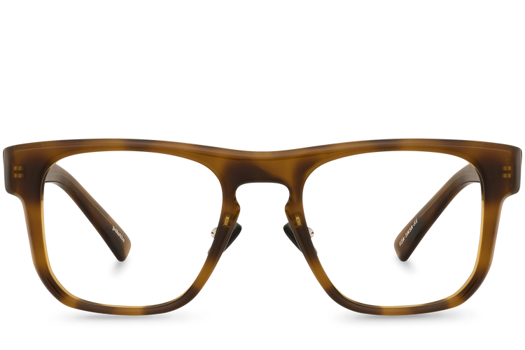 R2A-S149A-RX View Brown