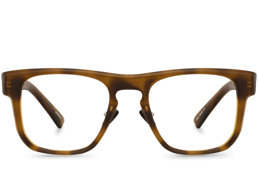 R2A-S149A-RX View Brown