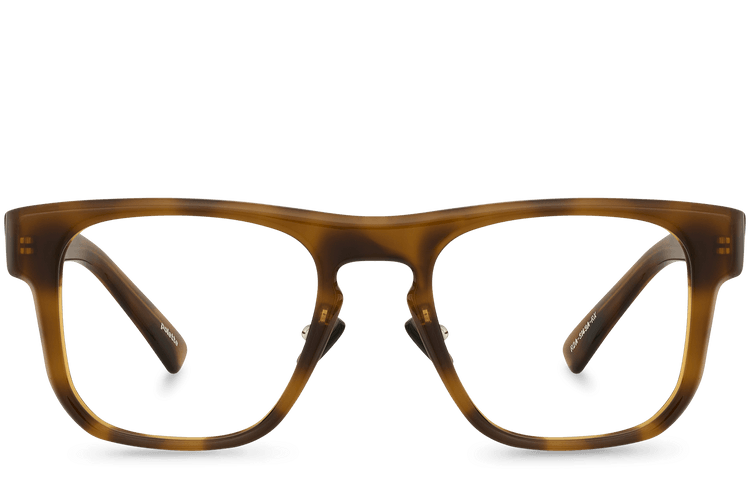 R2A-S149A-RX View Brown