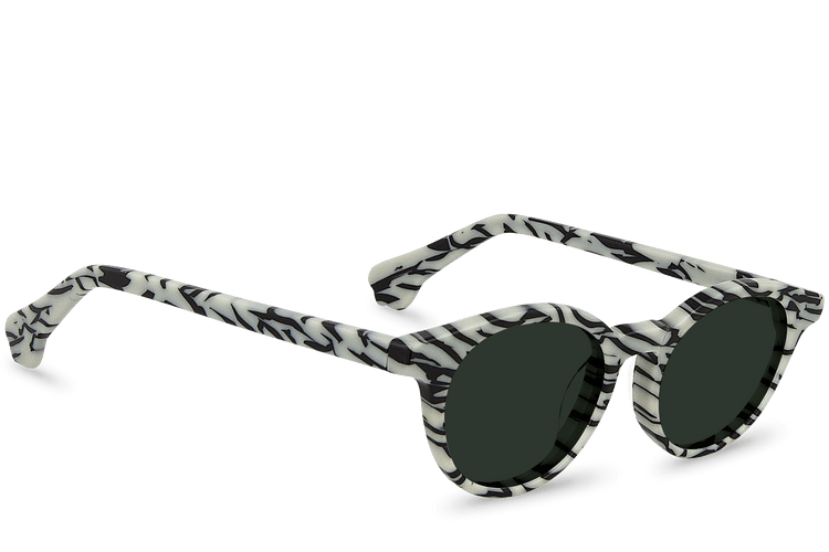 Rafiki Zebra