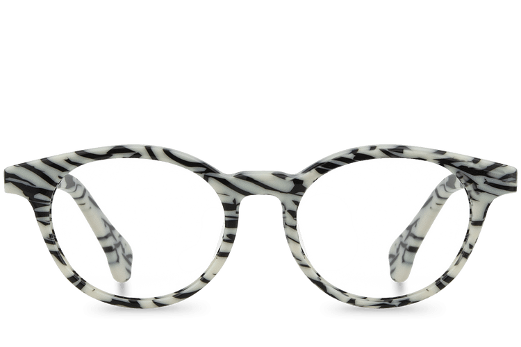 Rafiki View Zebra
