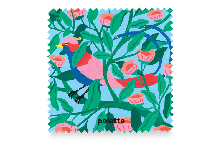 Rainforest Bird